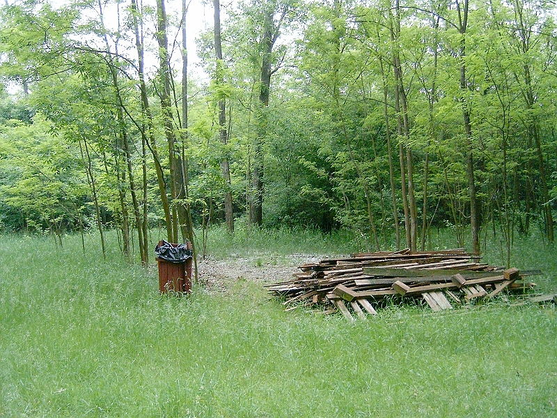 20100530 006.jpg